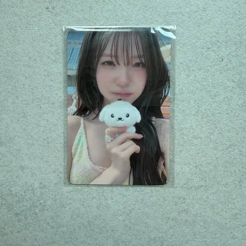 [BUNJANG] fromis_9 Jiheon Lucky Draw POB / 프로미스나인 백지헌 팝업 앨범 럭드 특전 양도