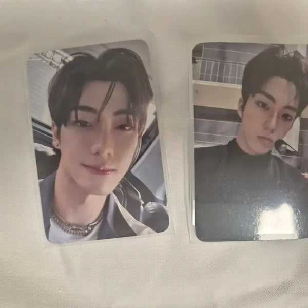 [BUNJANG] Modisey SseSseMo Kuji Rowan Bundle Set Photocard / 모디세이 쎄쎄모 쿠지 로완 포토카드 일괄