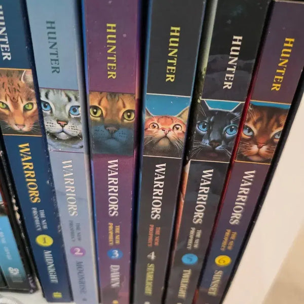 [BUNJANG] Hunter x Hunter: The New Prophecy Series Complete Set English Original Books / 헌터 워리어스: 새로운 예언 시리즈 전집 영어 원서