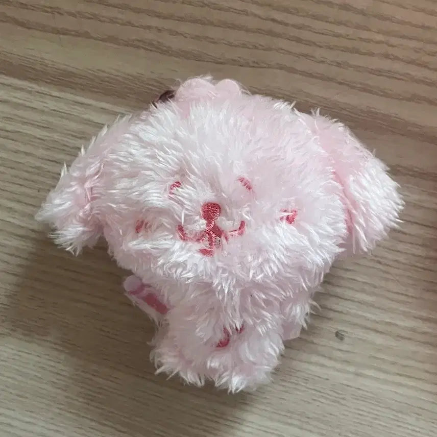 [BUNJANG] NCT Wish Color Wish Doll Dengtriever Pink DaeYeong JaeHee / 앤시티 위시 컬러 위시돌 댕트리버 핑크 대영 재희
