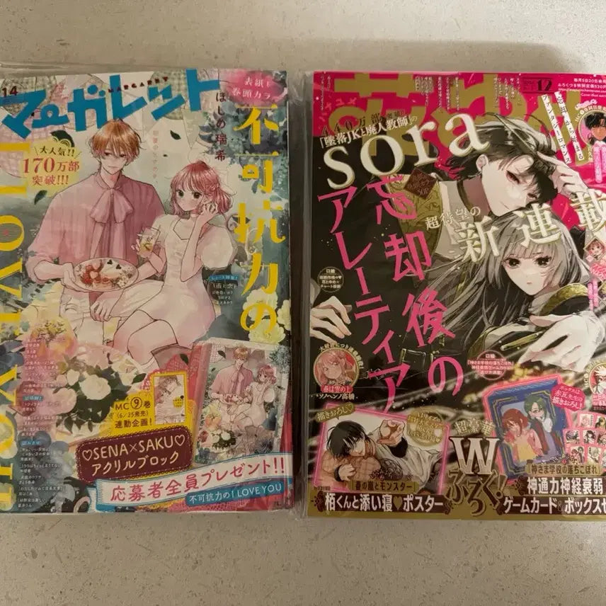 [BUNJANG] Margaret "I Love You" Shojo Magazine Hanatoyume Collection / 마가렛 불가항력의 I love you 순정만화잡지 하나토유메 하나또유메