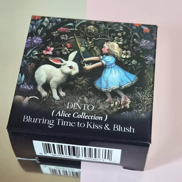 [BUNJANG] Dinto Blurring Blush 601 Warm Spring (Sealed) / 딘토 블러링 블러쉬 601