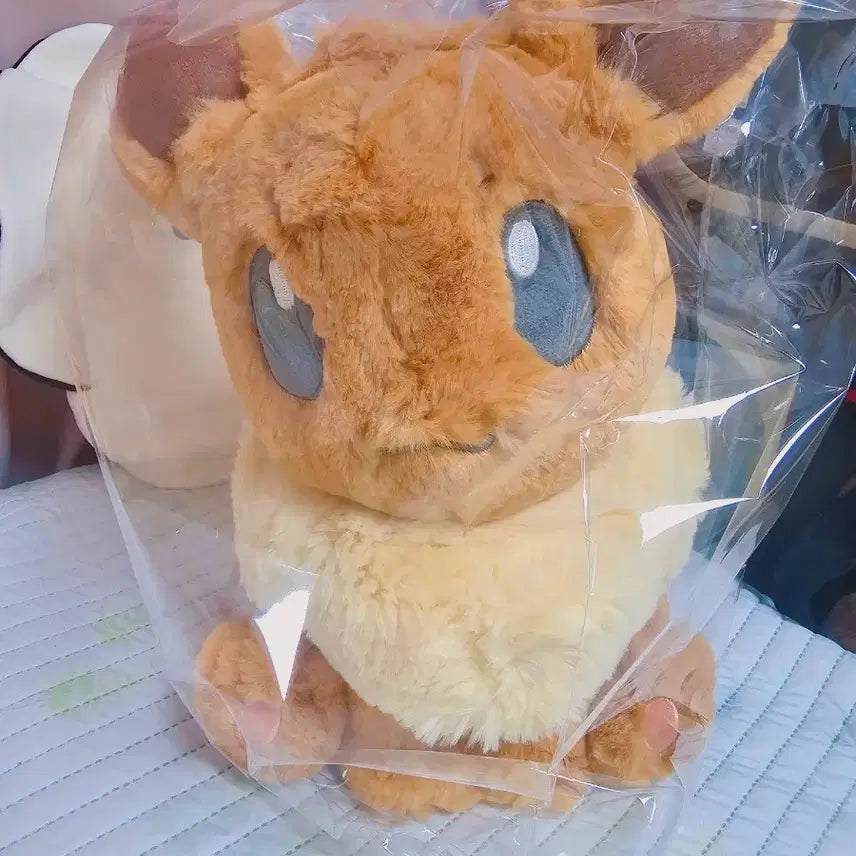 [BUNJANG] Pokemon Eevee Plush Toy / 포켓몬 후와후와 보들보들 이브이 인형
