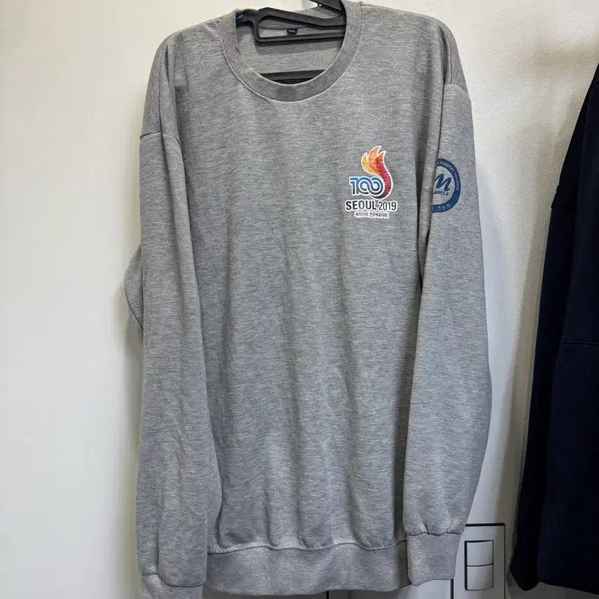 [BUNJANG] Gyeonggi Province National Sports Festival Taekwondo Sweatshirt / 전국체전 경기도 대표 태권도 맨투맨