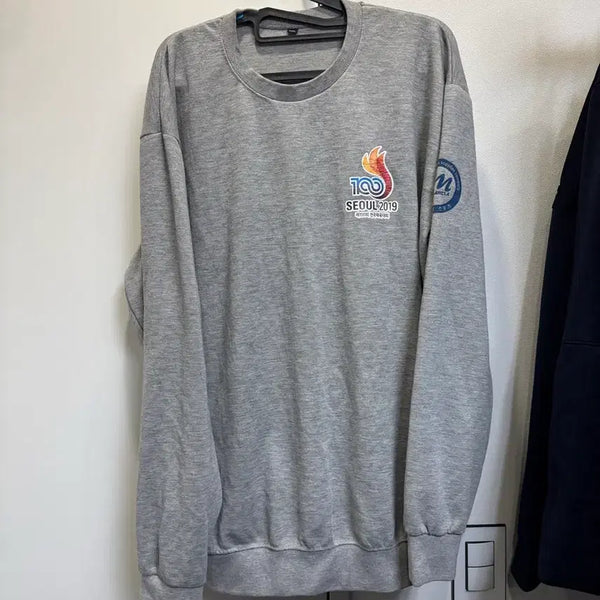 [BUNJANG] Gyeonggi Province National Sports Festival Taekwondo Sweatshirt / 전국체전 경기도 대표 태권도 맨투맨