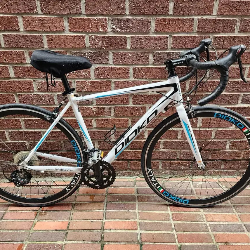 [BUNJANG] Daihaku Italy 14 Speed Road Bike / 다이하쿠 이태리 14 로드 자전거