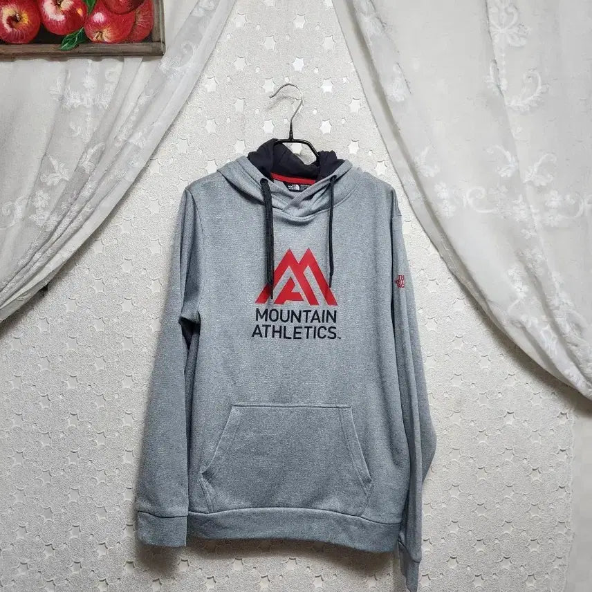 [BUNJANG] The North Face Fleece Hoodie (Unisex Size 100) / 노스페이스 기모 후드티 공용100