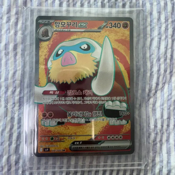 [BUNJANG] Mammonkuri SR Pokemon Card / 맘모꾸리 SR 포켓몬카드
