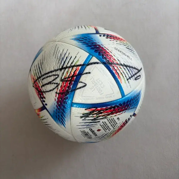 [BUNJANG] Qatar World Cup Signed Soccer Ball - Cho Gue-sung, Paik Seung-ho / 카타르 월드컵 축구공 조규성선수 백승호선수 친필싸인볼