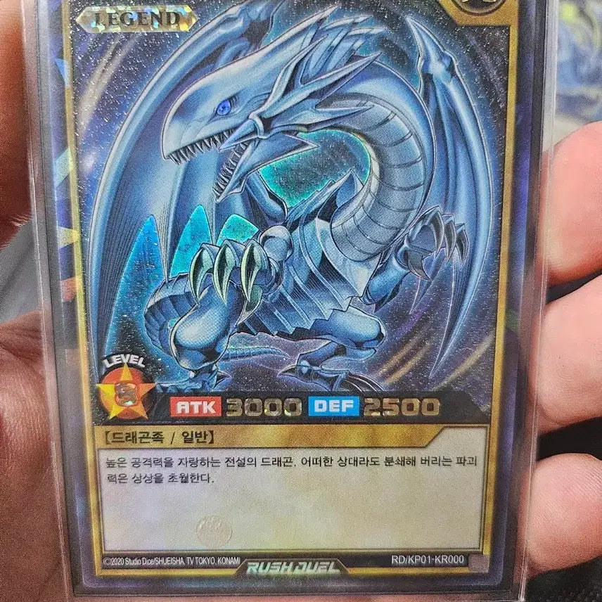 [BUNJANG] Yu-Gi-Oh! Rush Duel Blue-Eyes White Dragon Cards Bundle Set / 유희왕 러쉬듀얼 백룡 2장 일괄 판매합니다