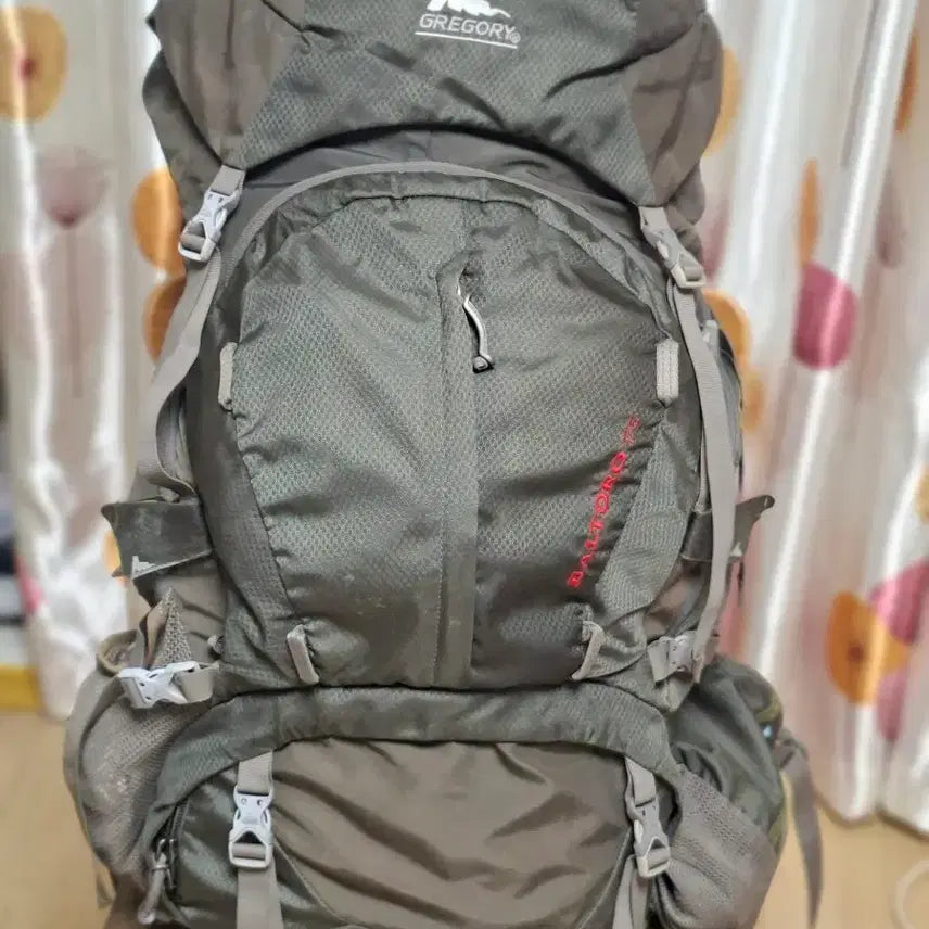 [BUNJANG] Gregory 75L Hiking Backpack / 그레고리베낭 75