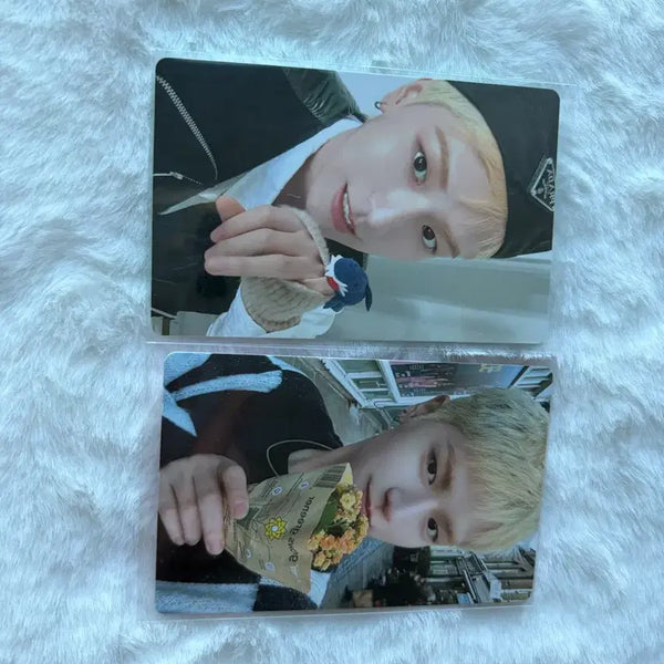 [BUNJANG] BOYNEXTDOOR HOW Riwoo Photocard Set / 보넥도 HOW 리우 포카 세트