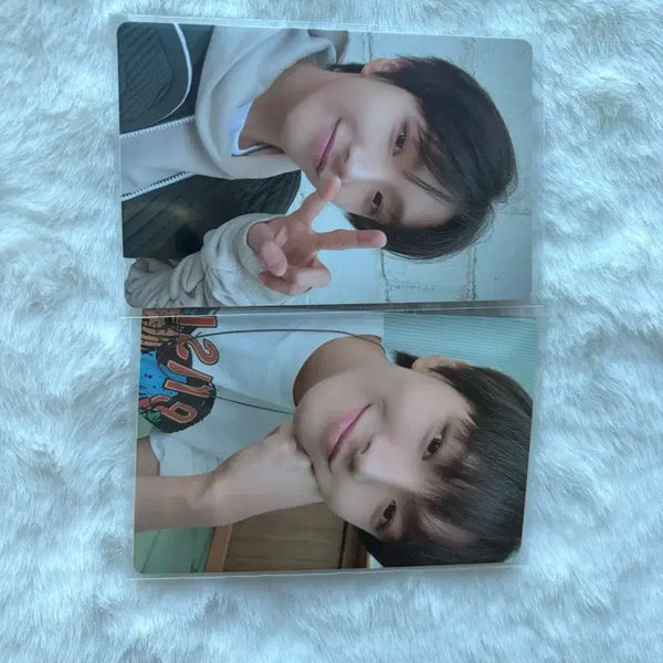 [BUNJANG] BOYNEXTDOOR Who Unhak Photocard Set / 보넥도 WHO 운학 포카 세트