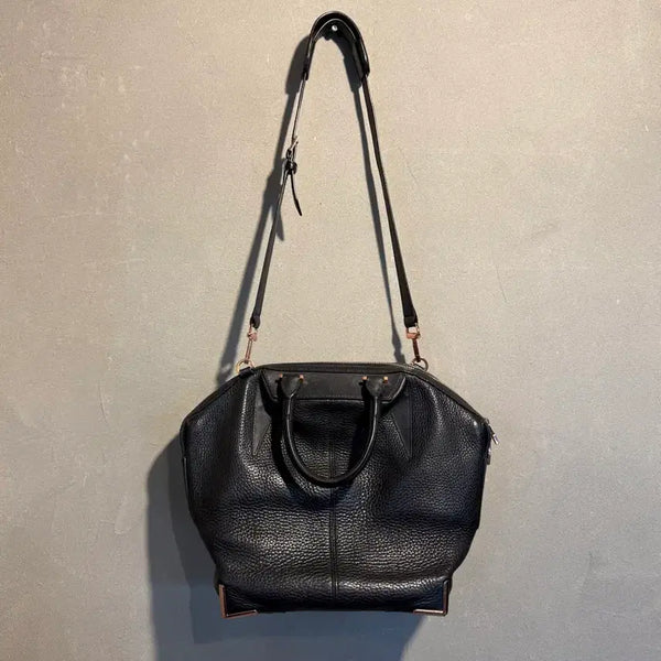 [BUNJANG] Alexander Wang Emile Leather Bag / 알렉산더 왕 에밀백