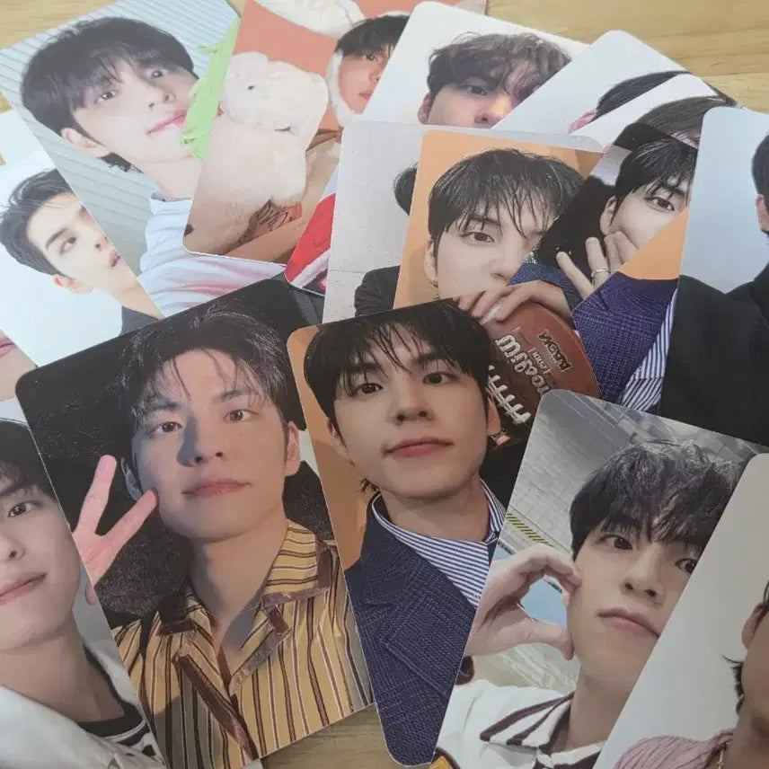 [BUNJANG] Day6 Wonpil Bundle Set Photocard / 데이식스 원필 포카 22장 일괄판매