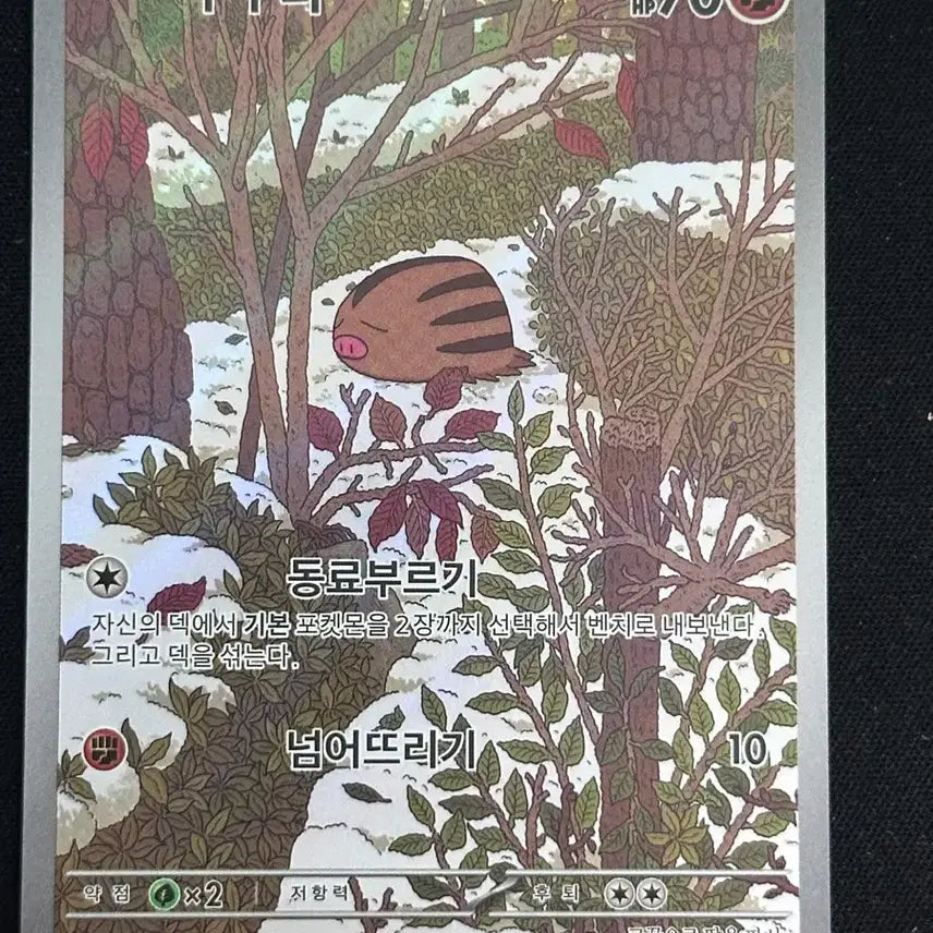 [BUNJANG] Pokemon Card Groudon AR Card / 포켓몬카드 꾸꾸리 AR