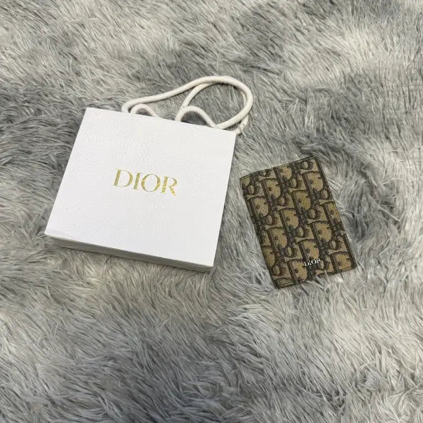[BUNJANG] Dior Oblique Organizer Beige / 디올 오블리크 오거나이저