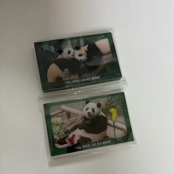 [BUNJANG] Fu Bao Rui Hui Acrylic Corotto Bundle Set / 푸바오 루이후이 아크릴 코롯토 일괄판매