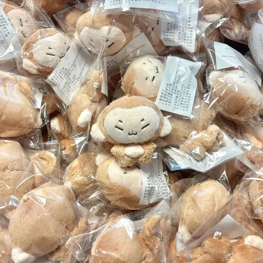 [BUNJANG] SEVENTEEN Hoshi Hossingi Doll Sealed / 호시 인형 홋싱이 미개봉 새상품 원가양도