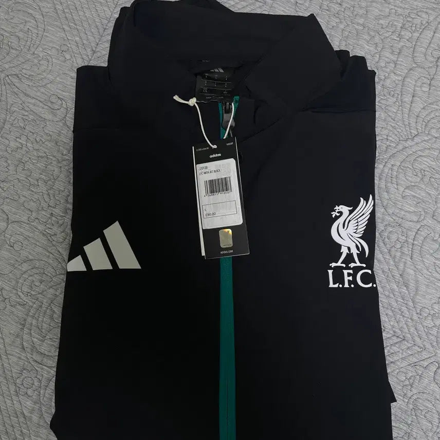 [BUNJANG] Liverpool FC 25-26 Anthem Jacket (Size L/XL) / 리버풀 25-26 앤썸 자켓