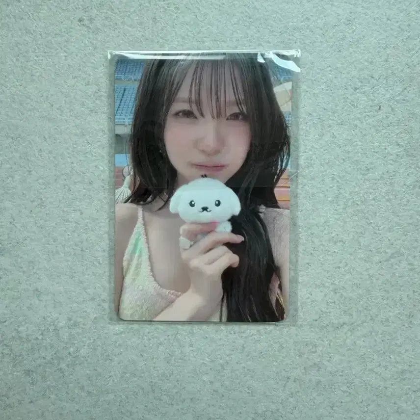 [BUNJANG] fromis_9 Baek Ji-heon Popup Album Lucky Draw POB Photocard / 프로미스나인 백지헌 팝업 앨범 럭드 특전 양도