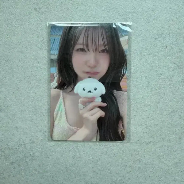 [BUNJANG] fromis_9 Baek Ji-heon Popup Album Lucky Draw POB Photocard / 프로미스나인 백지헌 팝업 앨범 럭드 특전 양도