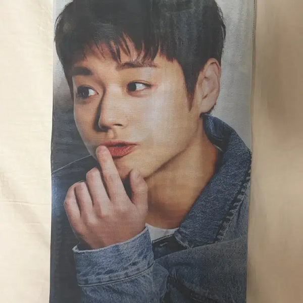 [BUNJANG] Giyeong Char-Broiled Chicken Park Jihoon Fabric Poster / 기영이 숯불 치킨 박지훈 패브릭 포스터 청청