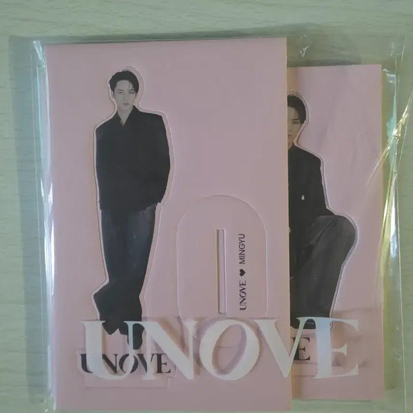 [BUNJANG] Anove Mingyu Mini Standee / 어노브 민규 미니 스탠드