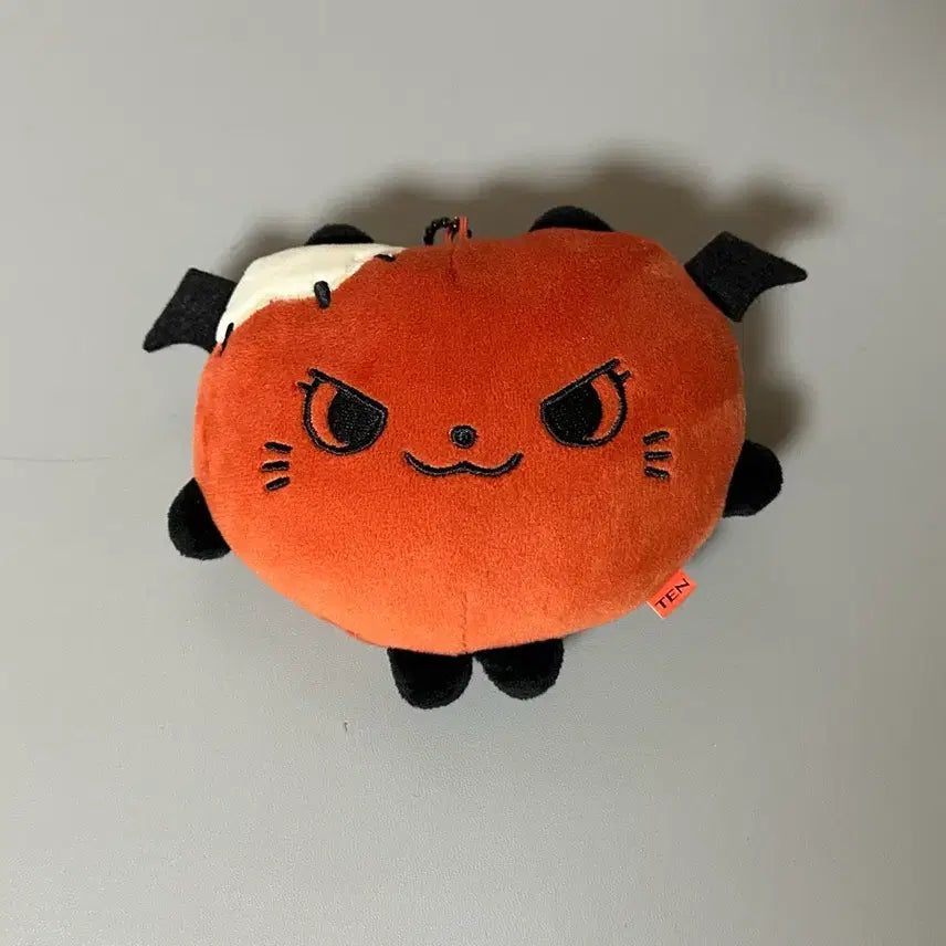 [BUNJANG] WayV NCT Ten Reversible Doll / 웨이션브이 엔시티 텐 리버시블 인형