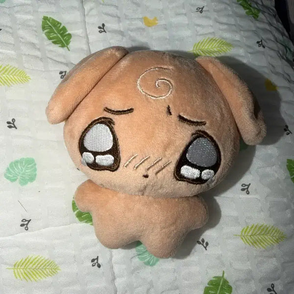 [BUNJANG] Moyodung Myung Jaehyun Doll Moyodung Moyodung / 엉잉명 보넥도 명재현 재현 인형 띵멍이 명명 쁘넥도