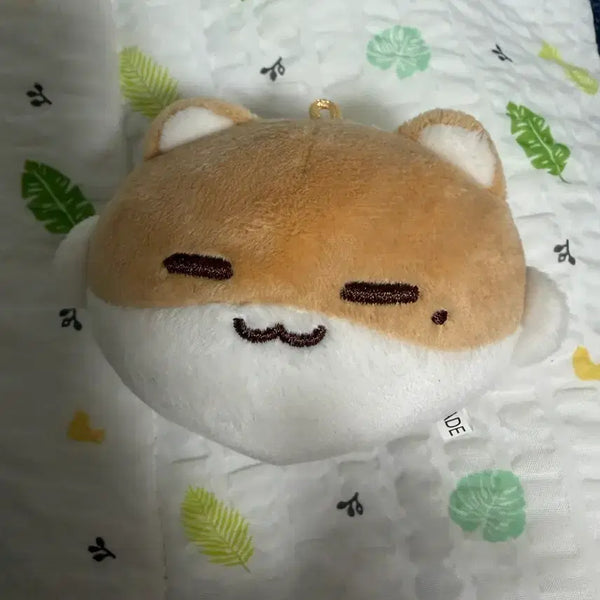 [BUNJANG] RIIZE Wonbin Doll / 링햄 이리우 리우 이상혁 보넥도 인형 쁘넥도 달링