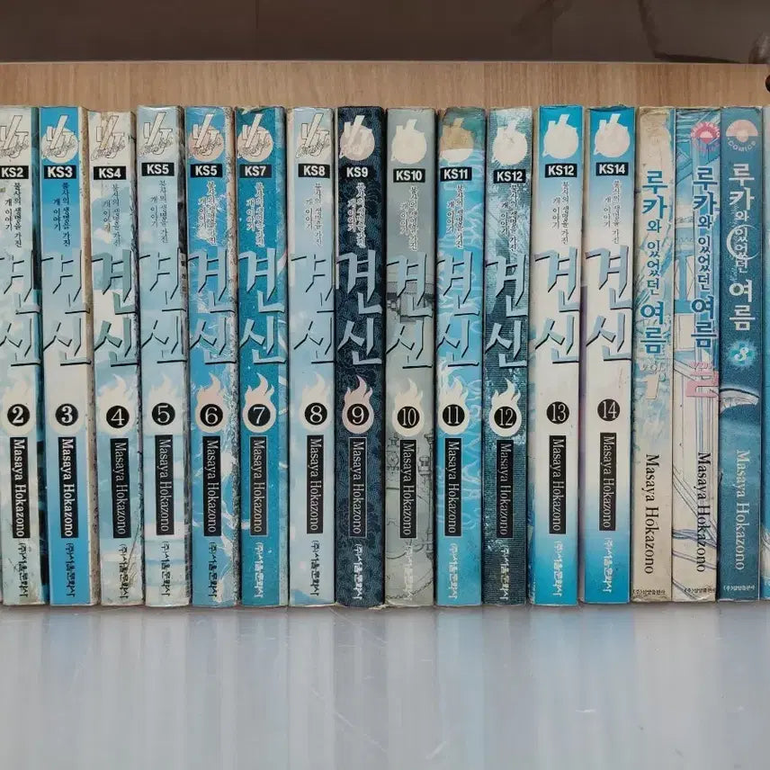 [BUNJANG] Kenshin Complete Set (1-14) + The Summer I Was With Luca Complete Set (1-4) - 18 Volumes Total / 견신1~14완결 +루카와 있었던 여름,1~4완,합18권,같은작가