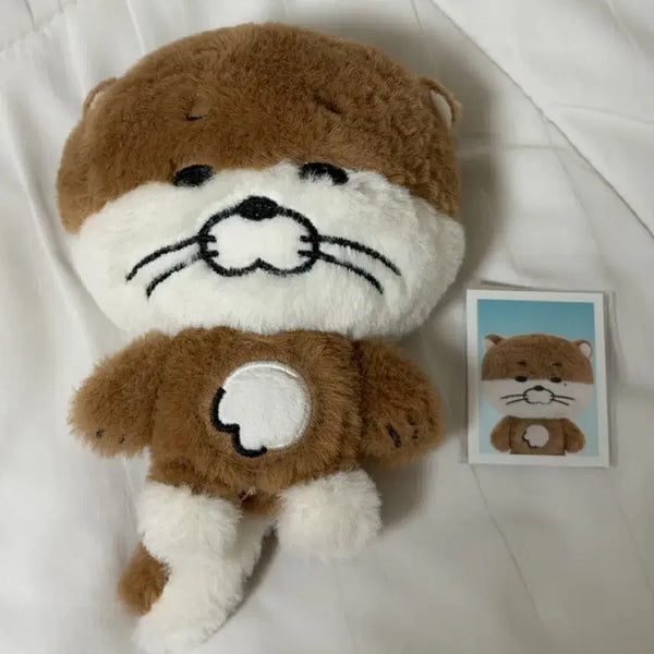 [BUNJANG] BOYNEXTDOOR Darling Plush Keychain Rio / 보넥도 쁘넥도 달링이 리우 플러쉬 플러시 키링 보이넥스트도어