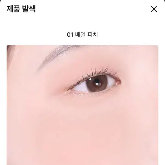 [BUNJANG] About Tone Blusher Veil Peach / 어바웃톤 블러셔 베일피치 봄웜 가을웜