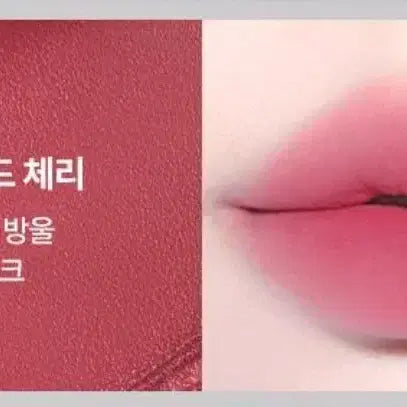 [BUNJANG] Too Cool For School Tint 07 Muted Cherry + Free Sugar Lip Scrub / [1회사용] 투쿨포스쿨 틴트 07 뮤티드체리 [+덤 슈가 립스크럽]