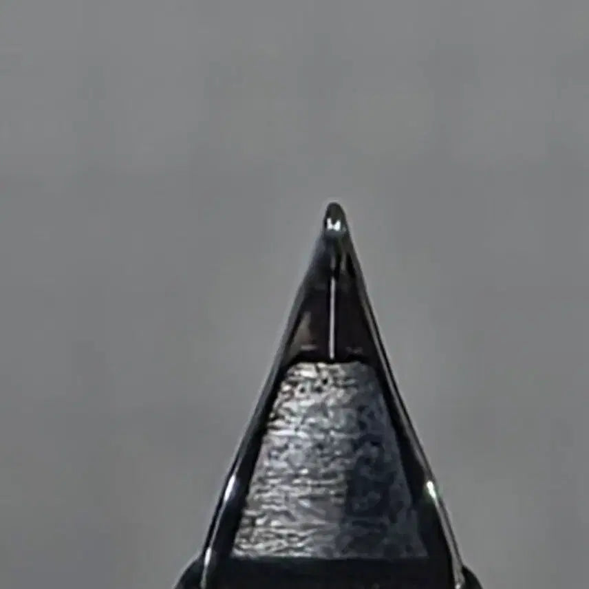 [BUNJANG] Lamy 2000 Makrolon Fountain Pen 14K EF Nib / 라미 2000 마크롤론 14K (EF촉) - 닙 분할 양품