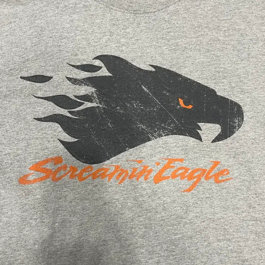 [BUNJANG] 00s Harley-Davidson Screamin' Eagle T-Shirt - L / 00s 할리데이비슨 스크리밍 이글 그레이 티셔츠 L