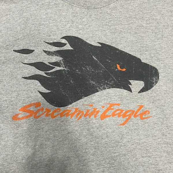 [BUNJANG] 00s Harley-Davidson Screamin' Eagle T-Shirt - L / 00s 할리데이비슨 스크리밍 이글 그레이 티셔츠 L