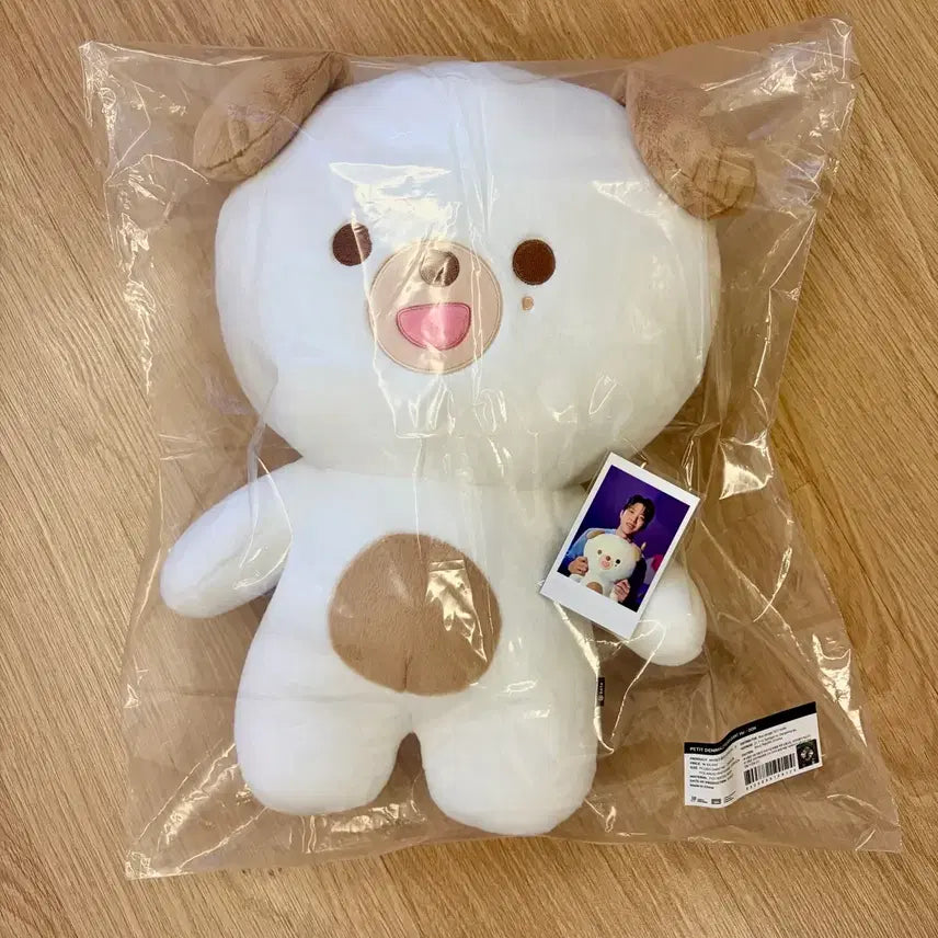 [BUNJANG] Day6 'When Doen' Plush Doll / 데이식스 자쁘멀_돈 원가양도해요