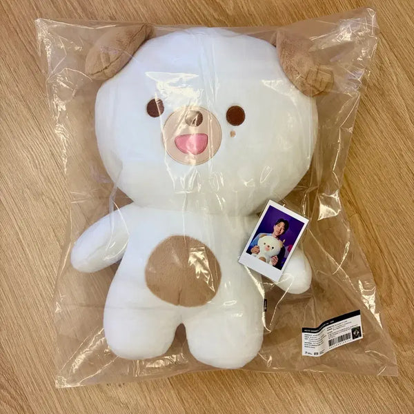 [BUNJANG] Day6 'When Doen' Plush Doll / 데이식스 자쁘멀_돈 원가양도해요