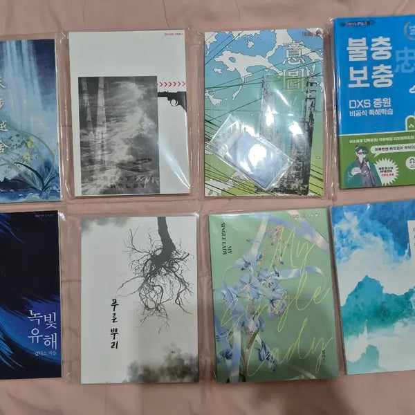 [BUNJANG] Hwasan Revisited Fanbook Collection / 화산귀환 회지(도소)