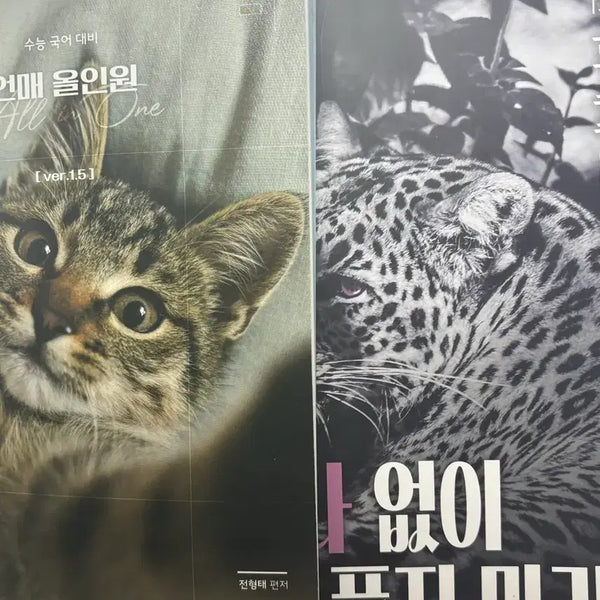 [BUNJANG] Megastudy Jeon Hyung-tae Language and Media (Eon-mae) Na-gi-chul All-in-One / 메가스터디 전형태 언매 언어와매체 나기출 올인원