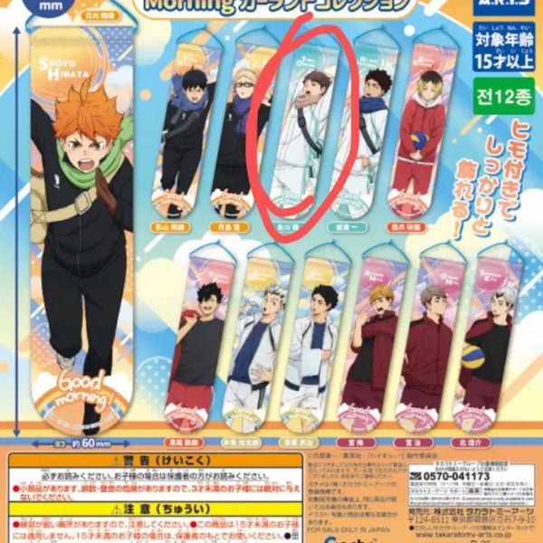 [BUNJANG] Haikyuu!! Oikawa Morning Garland Gacha / 하이큐 모닝 가랜드 가챠 오이카와