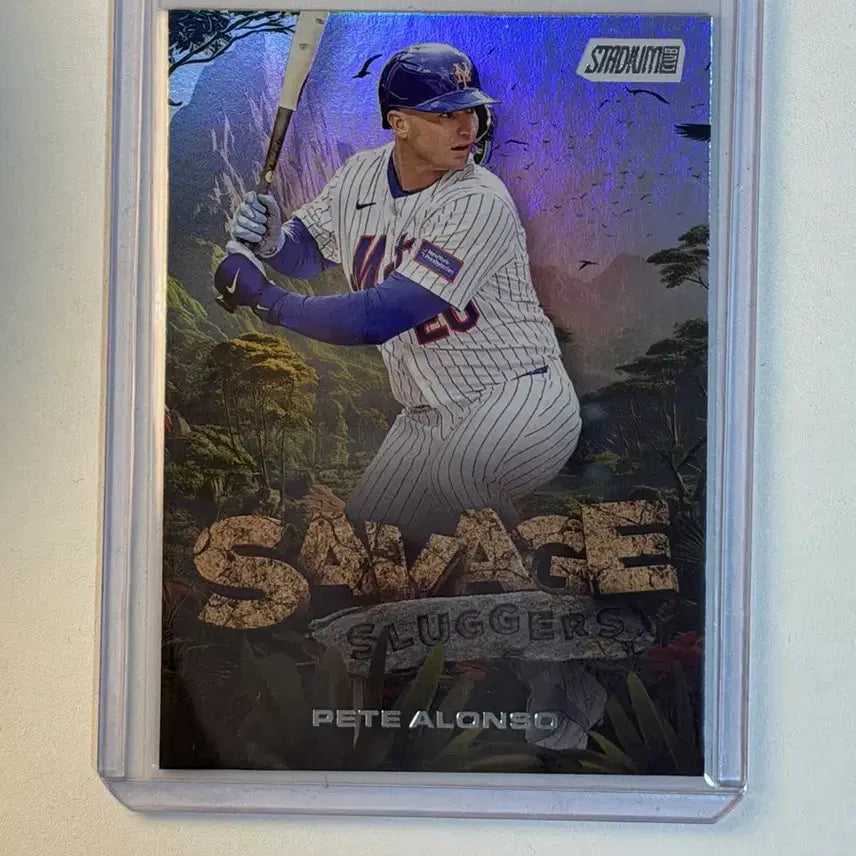 [BUNJANG] Pete Alonso Topps MLB Baseball Card / 피트 알론소 Topps MLB 야구카드