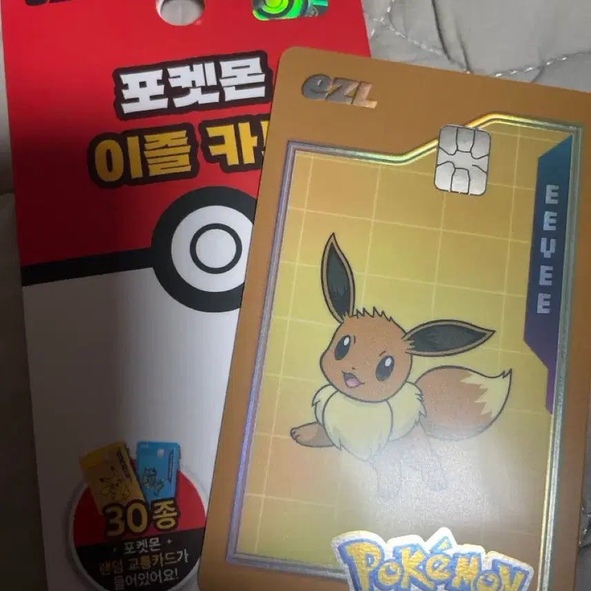 [BUNJANG] Pokemon Eevee EZL Transit Card / 포켓몬 이브이 EZL 교통카드