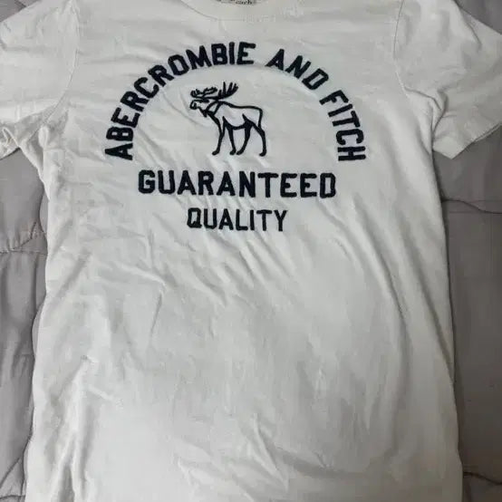 [BUNJANG] Abercrombie & Fitch T-Shirt Size M / 아베크롬비 반팔티 M