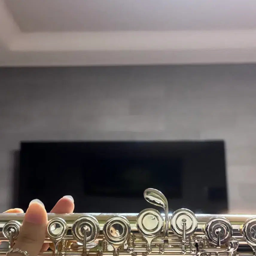 [BUNJANG] Yamaha YFL-222 Flute / 상태최상/야마하 플루트 YFL 222 플룻