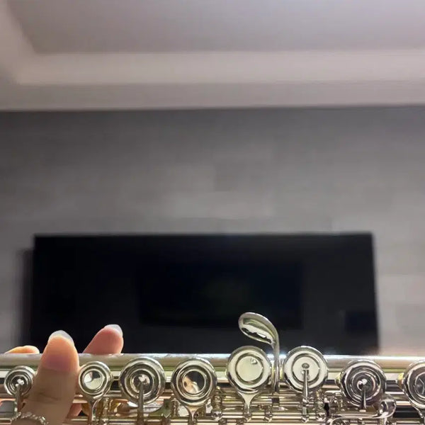 [BUNJANG] Yamaha YFL-222 Flute / 상태최상/야마하 플루트 YFL 222 플룻