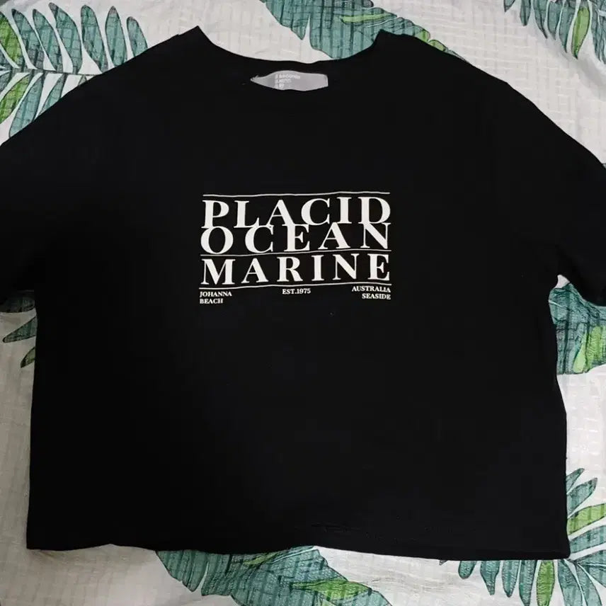 [BUNJANG] 8SECONDS Women's Lettering Crop Black Short-Sleeve T-Shirt / 에잇세컨즈 여성 레터링 크롭 블랙 반팔티