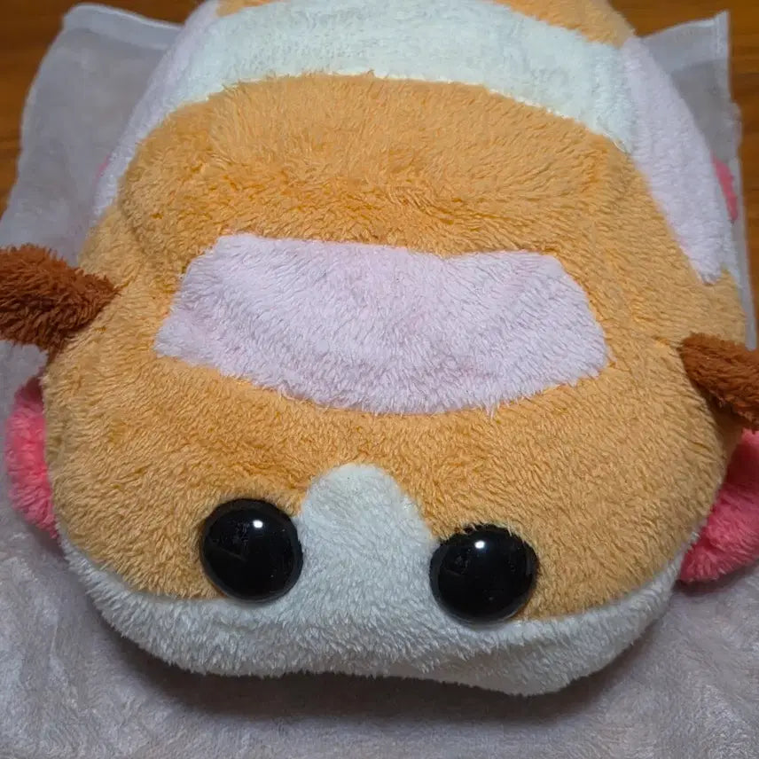 [BUNJANG] Mooruka Plush Doll / 뿌이뿌이 모루카 인형